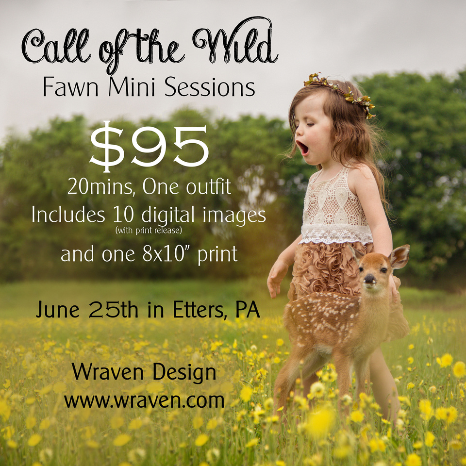 $95 - Call of the Wild  Fawn Mini Session