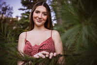 Preview-6