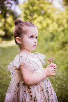 Preview-1