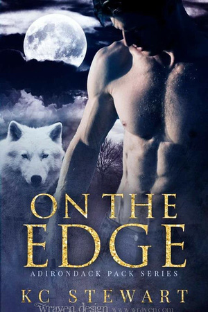 On the Edge by K.C. Stewart Book Cover