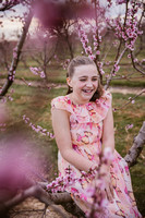 Preview-3