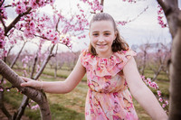 Preview-4