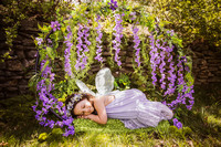 Preview-3