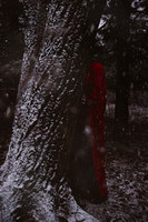 Preview-6
